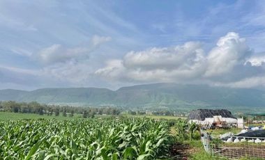 SE VENDE TERRENO EN IXTLAHUACAN DE LOS MEMBRILLOS