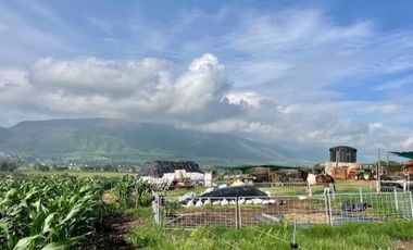 SE VENDE TERRENO EN IXTLAHUACAN DE LOS MEMBRILLOS