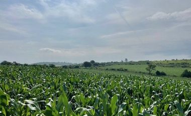 SE VENDE TERRENO EN IXTLAHUACAN DE LOS MEMBRILLOS