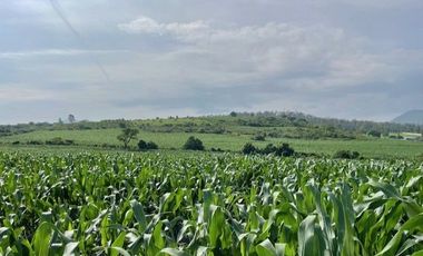 SE VENDE TERRENO EN IXTLAHUACAN DE LOS MEMBRILLOS