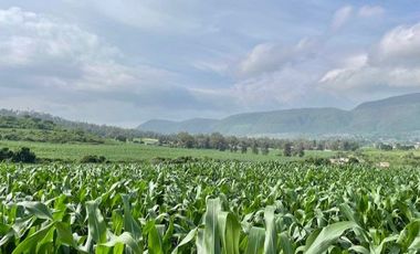 SE VENDE TERRENO EN IXTLAHUACAN DE LOS MEMBRILLOS