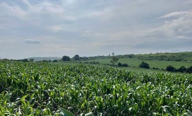 SE VENDE TERRENO EN IXTLAHUACAN DE LOS MEMBRILLOS