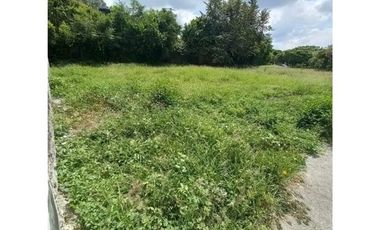 LOTE DE 368 MTS2 VENDO, BARRIO LAS MERCEDES, PALMIRA-COLOMBIA