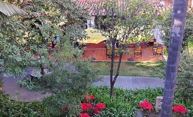 Renta Locales Centro