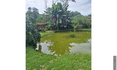 Venta de casa finca en El Carmen de Viboral vereda Quirama