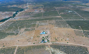 Venta de Terreno “El Sol”, 65 Ha.