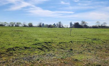 Venta Parcela en pelarco - Rol Propio