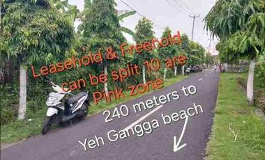 di jual dan di kontrakkan tanah di dekat pantai yeh Gangga Tabanan bali