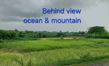 di jual dan di kontrakkan tanah di dekat pantai yeh Gangga Tabanan bali