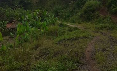2 Ha Tanah Kebun Untuk Peternakan Ayam, Sarimukti, Cipatat, Bandung Barat.