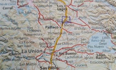 TERRENO DE 5 HECTÁREAS EN LA COMUNA DE PAILLACO