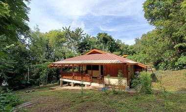 Peaceful Cottage amongst the trees for sale in Pai