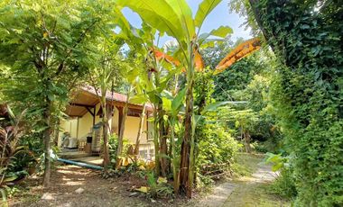 Peaceful Cottage amongst the trees for sale in Pai