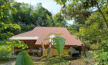 Peaceful Cottage amongst the trees for sale in Pai
