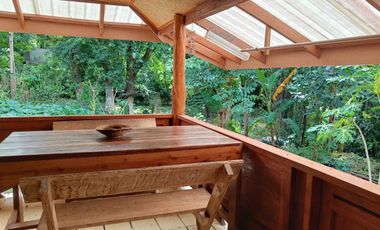 Peaceful Cottage amongst the trees for sale in Pai