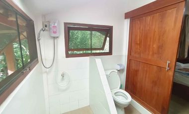 Peaceful Cottage amongst the trees for sale in Pai