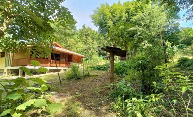 Peaceful Cottage amongst the trees for sale in Pai