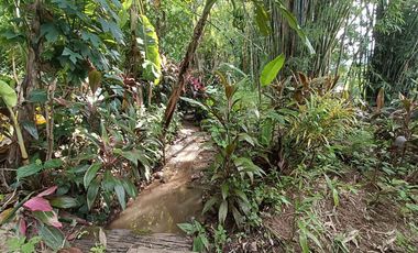 Peaceful Cottage amongst the trees for sale in Pai