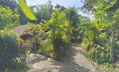 Peaceful Cottage amongst the trees for sale in Pai