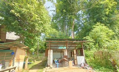Peaceful Cottage amongst the trees for sale in Pai