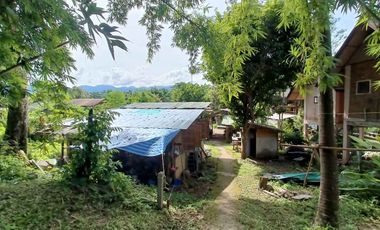 Peaceful Cottage amongst the trees for sale in Pai