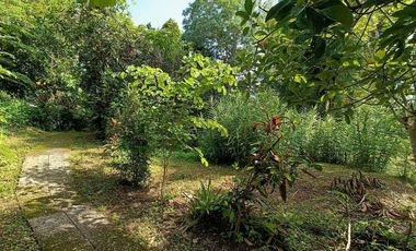 Peaceful Cottage amongst the trees for sale in Pai