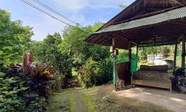 Peaceful Cottage amongst the trees for sale in Pai