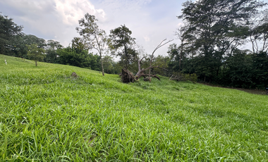 Incrieble lote rodeado de naturaleza a solo 15 min de Villavicencio