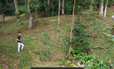 Incrieble lote rodeado de naturaleza a solo 15 min de Villavicencio