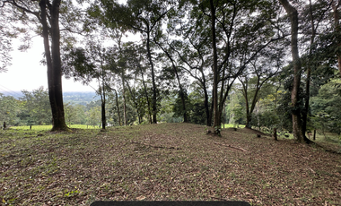 Incrieble lote rodeado de naturaleza a solo 15 min de Villavicencio
