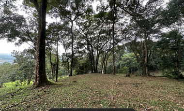 Incrieble lote rodeado de naturaleza a solo 15 min de Villavicencio