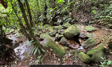 Incrieble lote rodeado de naturaleza a solo 15 min de Villavicencio