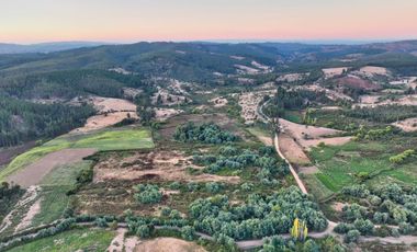 Se vende campo en sector de Paredones, 45,61há, cercano a Lago Vichuquén