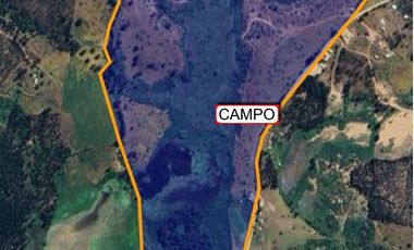 Se vende campo en sector de Paredones, 45,61há, cercano a Lago Vichuquén