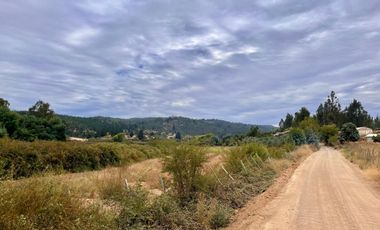 Se vende campo en sector de Paredones, 45,61há, cercano a Lago Vichuquén