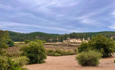 Se vende campo en sector de Paredones, 45,61há, cercano a Lago Vichuquén