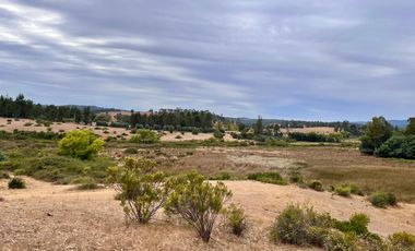 Se vende campo en sector de Paredones, 45,61há, cercano a Lago Vichuquén