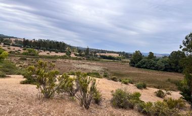 Se vende campo en sector de Paredones, 45,61há, cercano a Lago Vichuquén