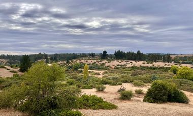 Se vende campo en sector de Paredones, 45,61há, cercano a Lago Vichuquén
