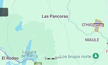 Se vende campo en sector de Paredones, 45,61há, cercano a Lago Vichuquén