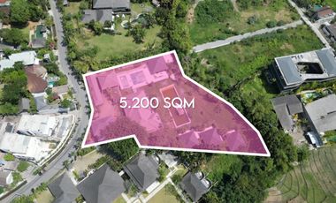 Strategic Location Large Land Available on Plot for Lease in Pererenan