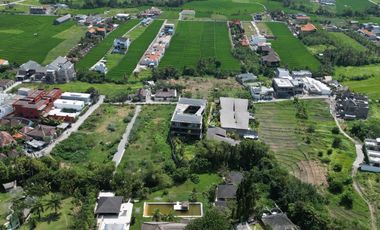 Strategic Location Large Land Available on Plot for Lease in Pererenan