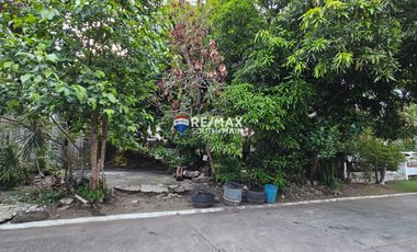 BF International Lot For Sale in Las Pinas