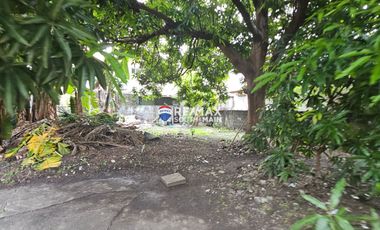 BF International Lot For Sale in Las Pinas