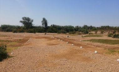 VENDO TERRENO DE 62,490 M2EN PREDIO PICHINGA SAN MIGUEL - PISCO -ICA