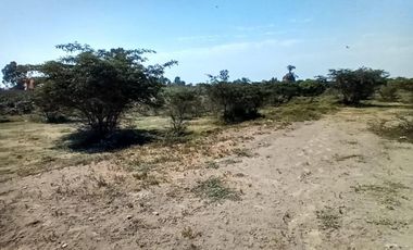 VENDO TERRENO DE 62,490 M2EN PREDIO PICHINGA SAN MIGUEL - PISCO -ICA