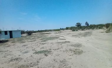 VENDO TERRENO DE 62,490 M2EN PREDIO PICHINGA SAN MIGUEL - PISCO -ICA