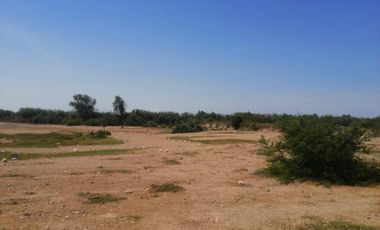 VENDO TERRENO DE 62,490 M2EN PREDIO PICHINGA SAN MIGUEL - PISCO -ICA
