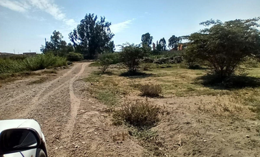 VENDO TERRENO DE 62,490 M2EN PREDIO PICHINGA SAN MIGUEL - PISCO -ICA
