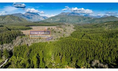 Se vende 90,5hás planas con agua, uso agricola y forestal, Molina